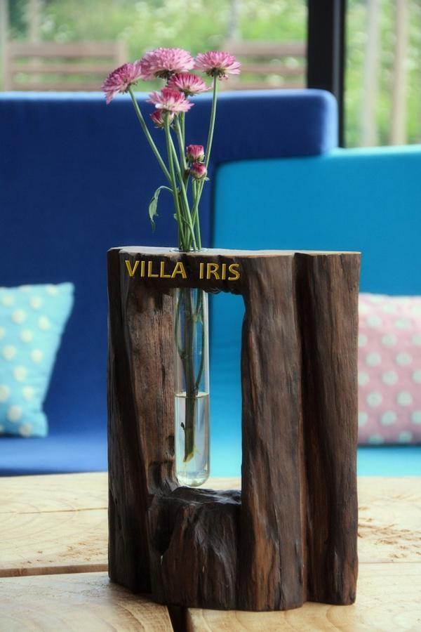 Villa Iris Baisha ภายนอก รูปภาพ
